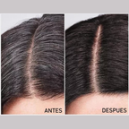 Shampoo cubre canas