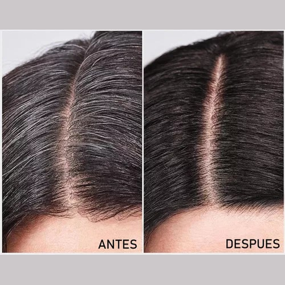 Shampoo cubre canas